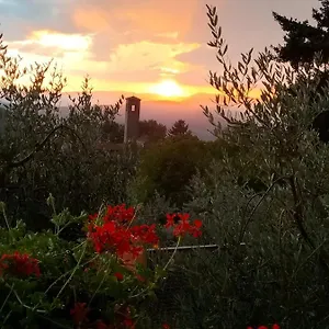 La Casetta Di Campagna Pomino